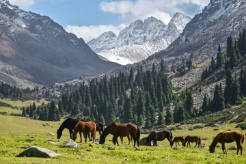 Stručnjakinja za putovanja: Ovo je zemlja koju svi moraju posjetiti bar jednom u životu