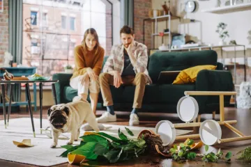 Ovaj namještaj je prljaviji od WC daske: Pun je gljivica, bakterija i plijesni