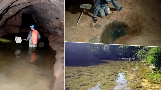 Te&scaron;ke fekalije zagađuju Koranu, katastrofa u &scaron;pilji Adios: Potpuno je mrtva, endemske ribe uni&scaron;tene