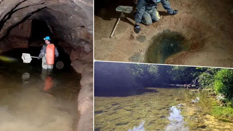 Te&scaron;ke fekalije zagađuju Koranu, katastrofa u &scaron;pilji Adios: Potpuno je mrtva, endemske ribe uni&scaron;tene