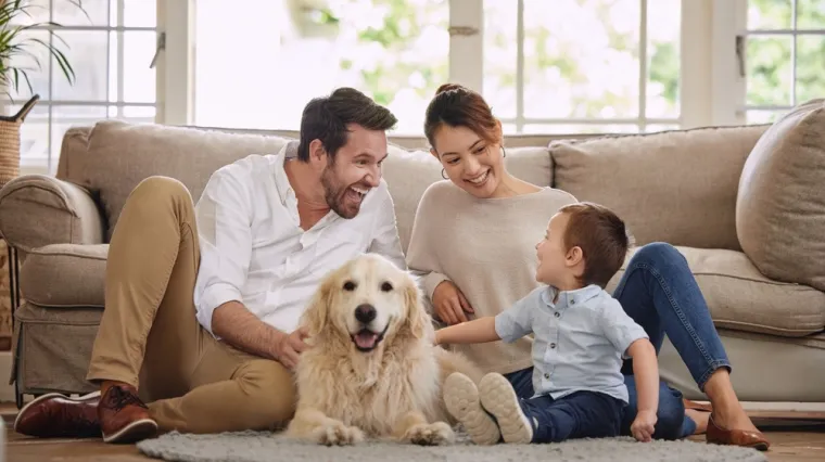 Nisu svi psi idealni za obitelj: Top 25 pasmina koje su pune nježnosti i strpljenja