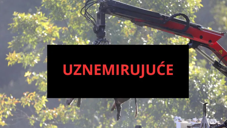 Galerija užasa: Opaka bolest uzela maha, prizori le&scaron;ina su uznemirujući