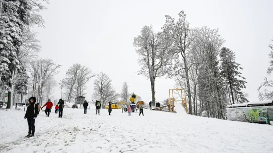Snijeg prekrio Sljeme i stvorio pravi zimski ugođaj, građani napokon dočekali da upogone sanjke