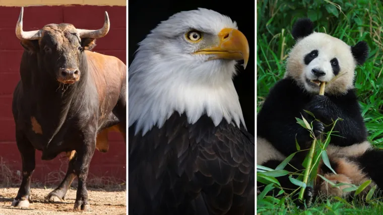 Koje su životinje nacionalni simboli ovih država? Pazi! Pitanja su zahtjevna