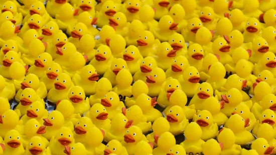 Prije 34 godine nesreća je poslala tisuće patkica oko svijeta: Nevjerojatno gdje su zavr&scaron;ile