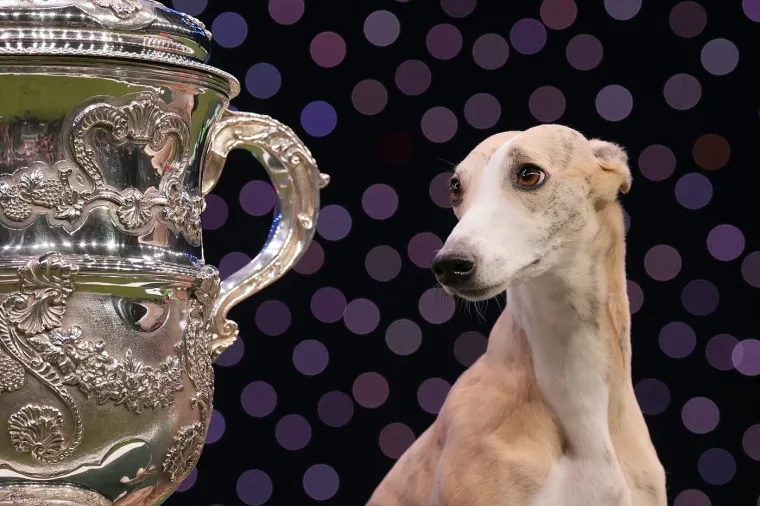 Preslatke nju&scaron;kice na najprestižnijoj svjetskoj izložbi pasa: Koji je vama osvojio srce?