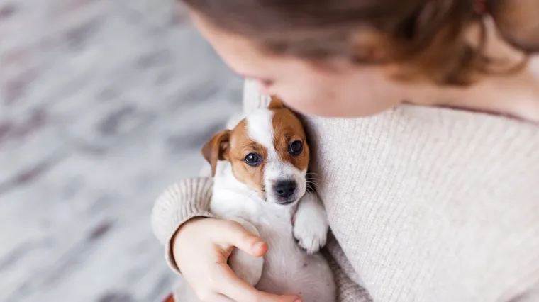 &Scaron;to pasmina va&scaron;eg psa otkriva o va&scaron;oj osobnosti? Odabir četveronožnog suputnika nije slučajan